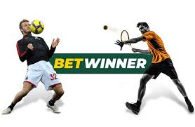 Explore the Thrills of BetWinner Casino 5